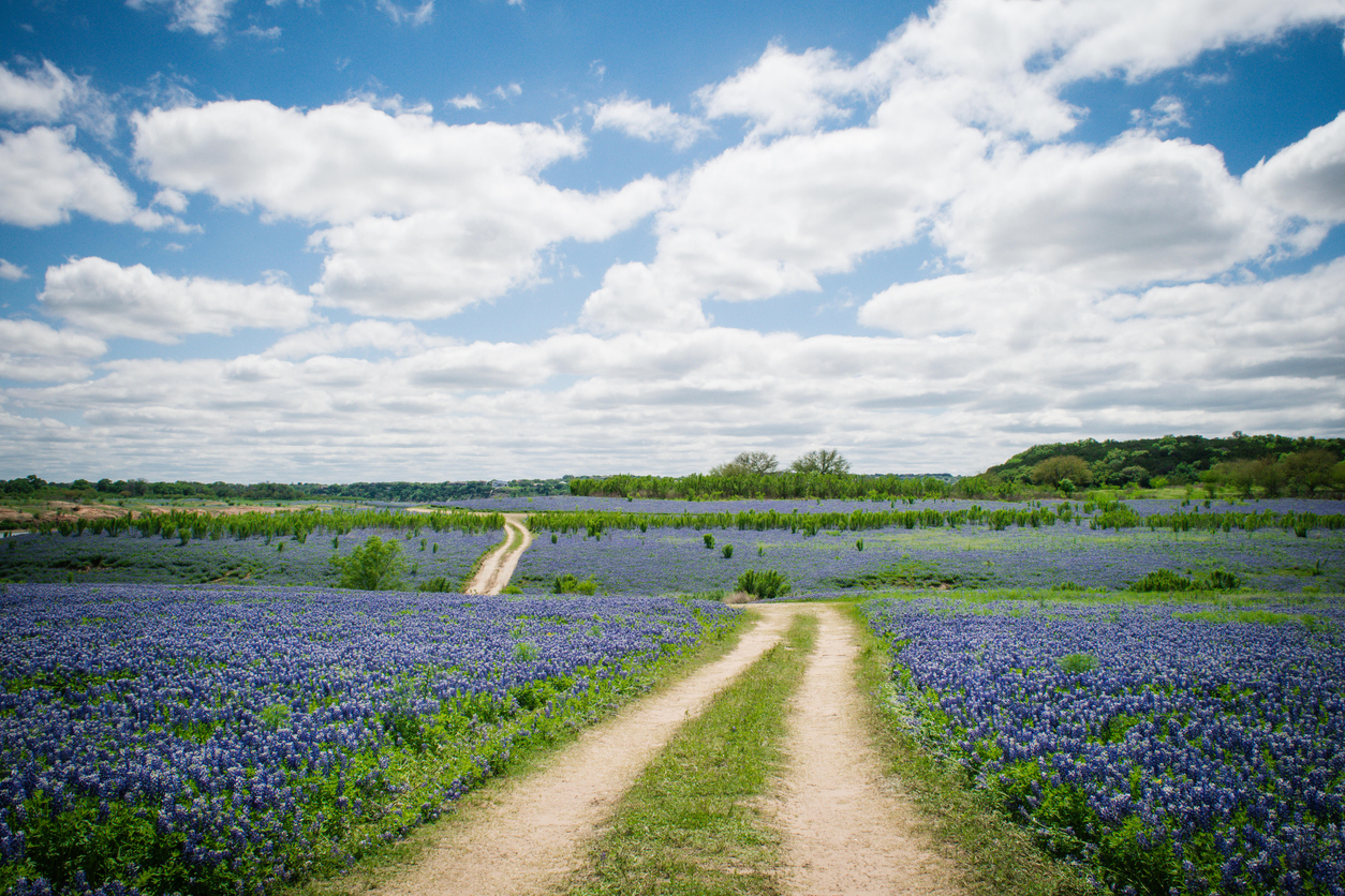 Panoramic Image of Friendswood, TX